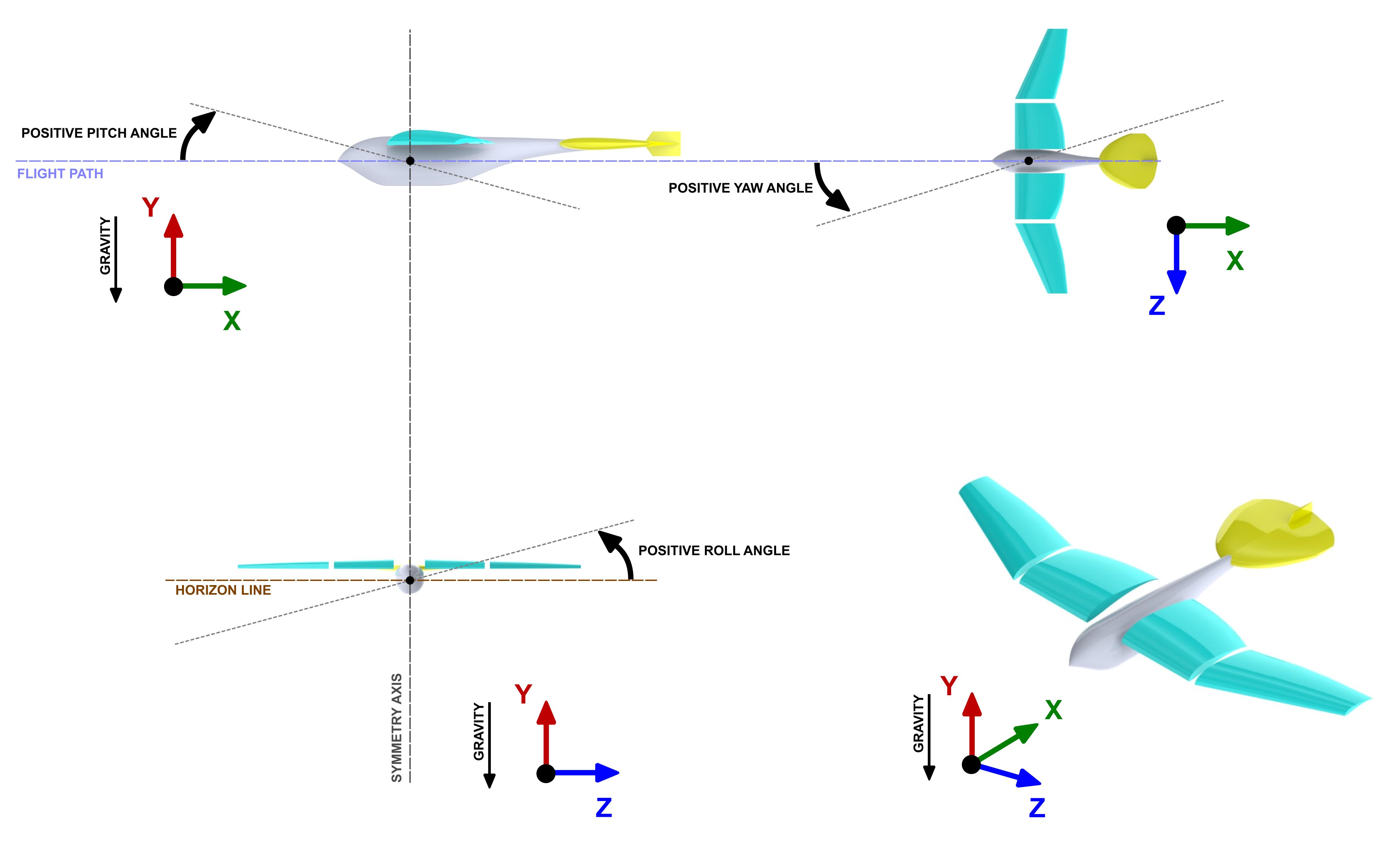 Avian model render and reference system.